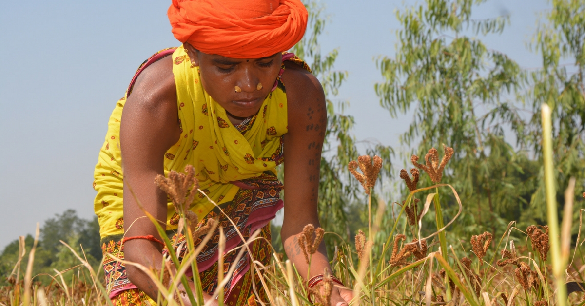 As You Sow, so You Eat: How a Tuber and Some Tricks Beat Malnutrition Among Farmers