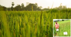 From Politics to Organic Farming, How One Incident Changed the Course of This Man's Life