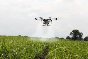 Karnataka Farmers Now Can Go Hi-Tech to Spray Fungicide on Their Trees