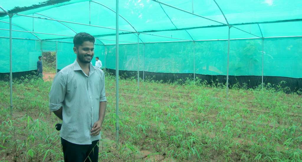 Milind Patil in his nursery in Pinguli village of Sindhudurg district. (Photo by Hiren Kumar Bose)