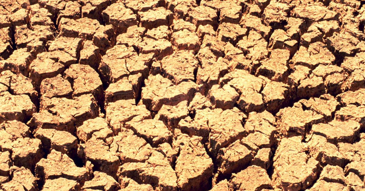 Drought forces farmers to take drastic steps. Representative image only. Image Courtesy:- Wikimedia Commons.