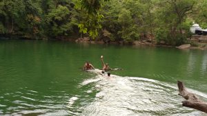 Video: Devdhar Singh's Special Swimming Pool That Serves Two Purposes