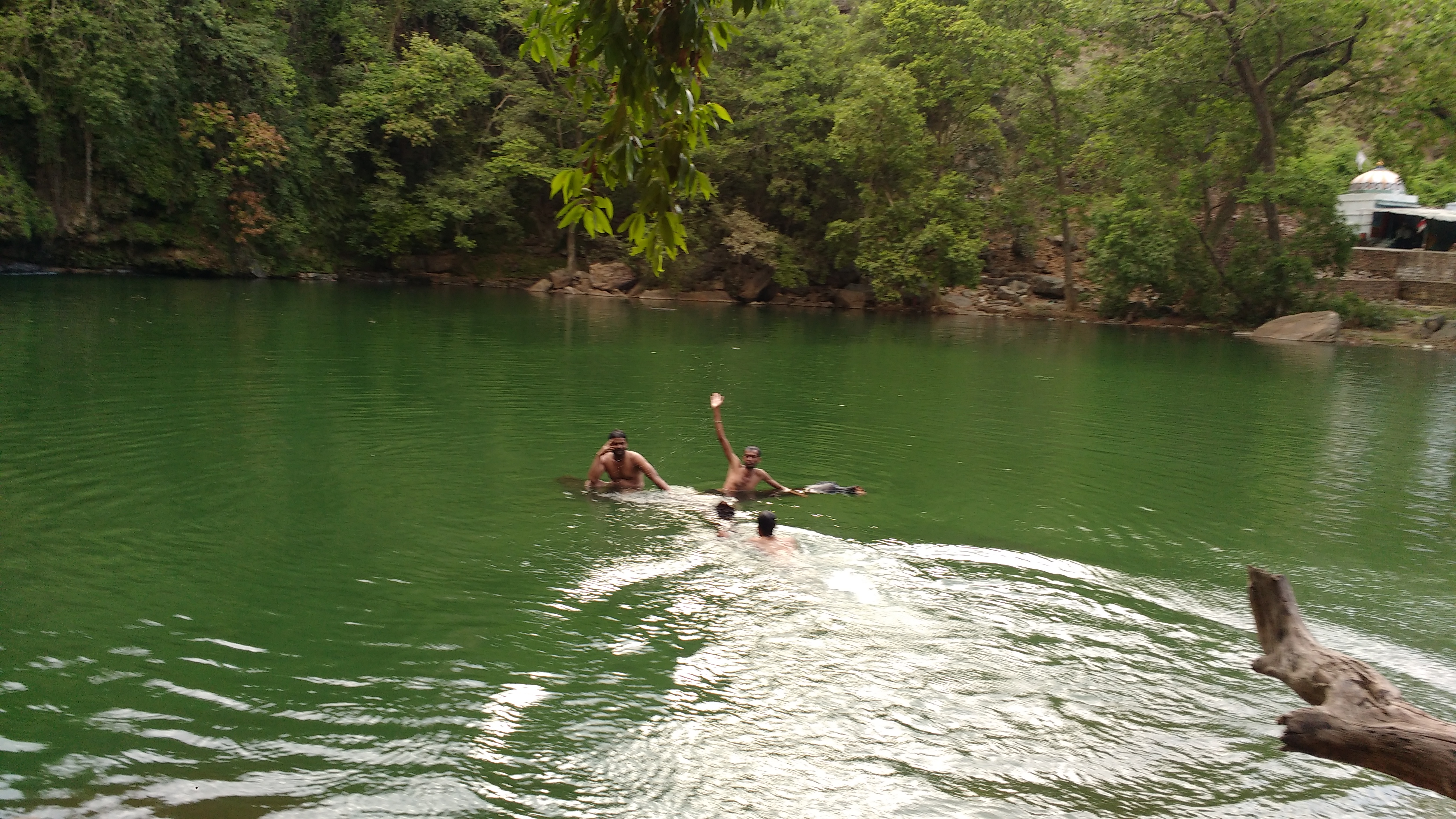 Video: Devdhar Singh’s Special Swimming Pool That Serves Two Purposes