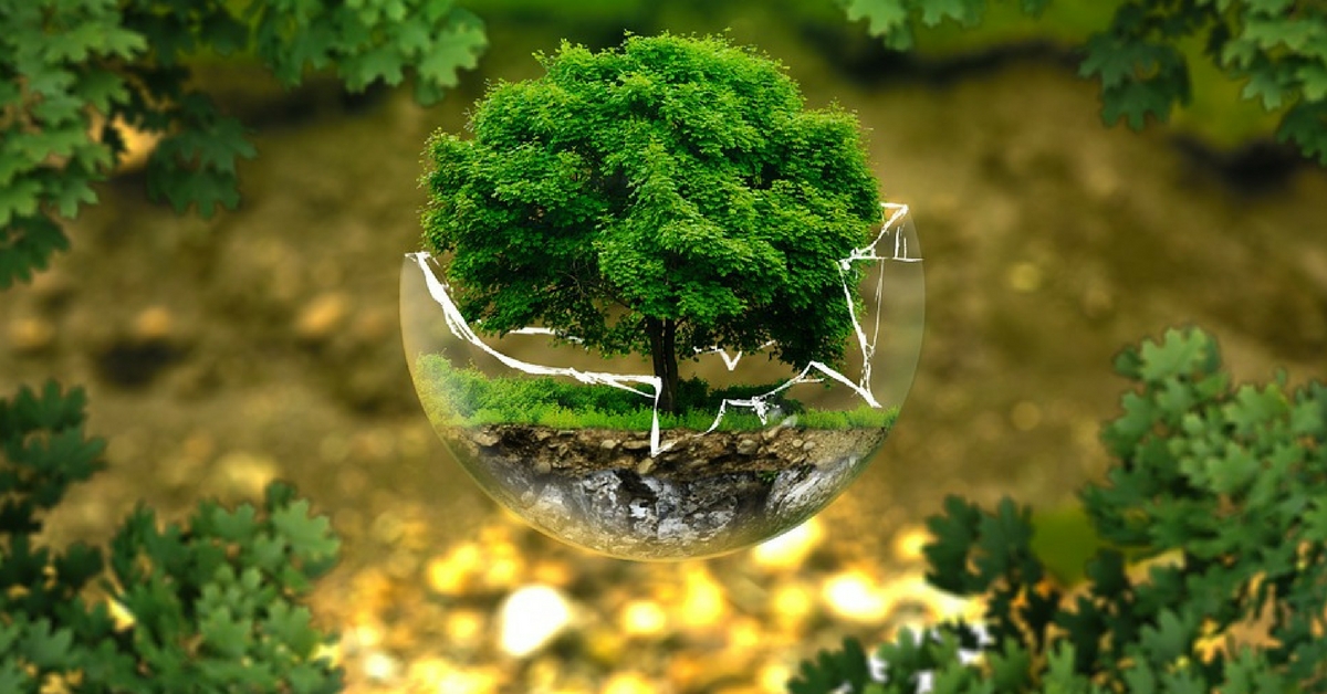 Save the planet. Picture Courtesy: Pixabay.