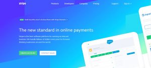 Elon Musk Backed Technolgy App, Stripe, Launches in India