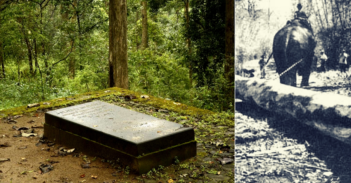 This Forgotten Scotsman Is The Reason Why The Anamalai Hills Are Still Lush With Trees