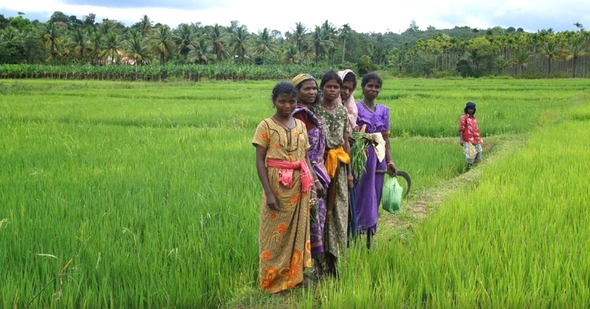 How Kerala’s Tribal Literacy Program Brought Education to Thousands