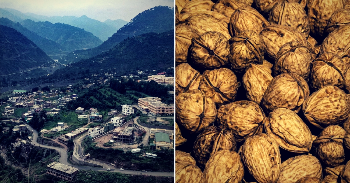 Now, Kashmir’s Discarded Walnut Shells Can Be Used to Make Batteries!