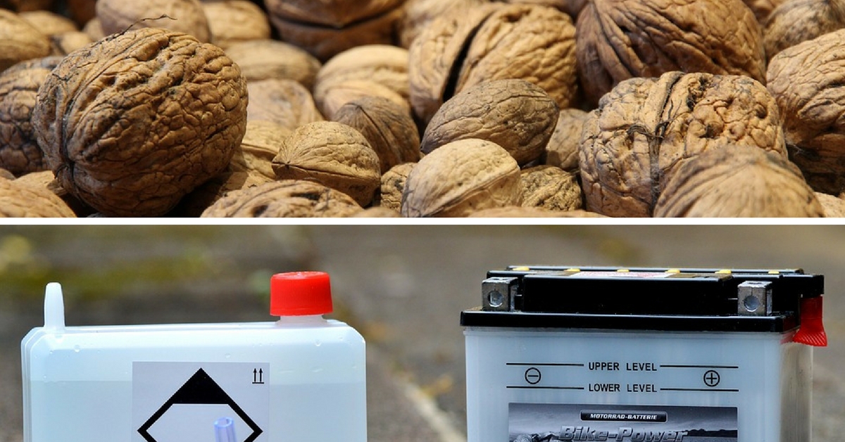 Walnut shells can be used in making cheaper batteries. Representative image only.