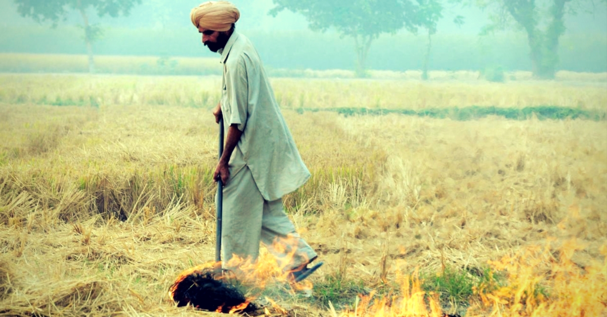 Centre Has a Rs 100 Crore Project to Tackle Crop Burning, but We Need More Than Money