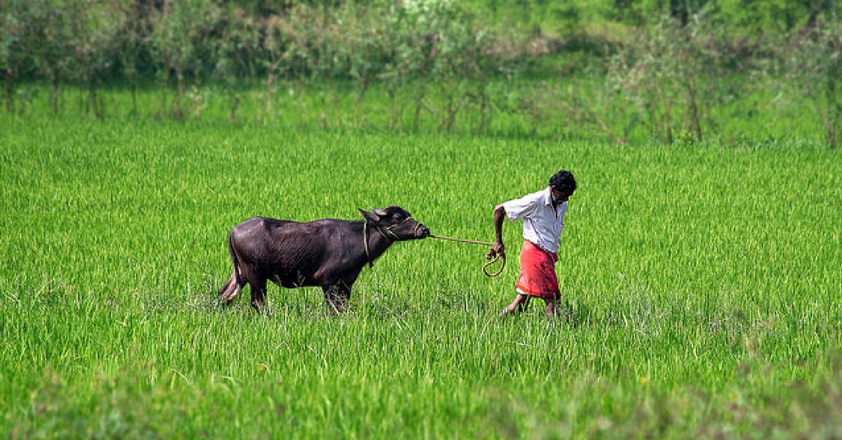 Farming Using the Moon? These Farmers Follow Astrological Signs to Cultivate