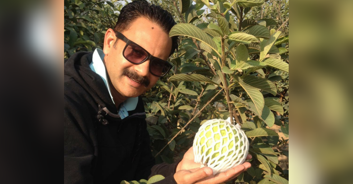 Software Engineer Quits Job to Bring Organic Jumbo Guavas to Our Homes