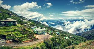 Truly Organic? Sikkim to Ban Supply of Non-Organic Produces in State