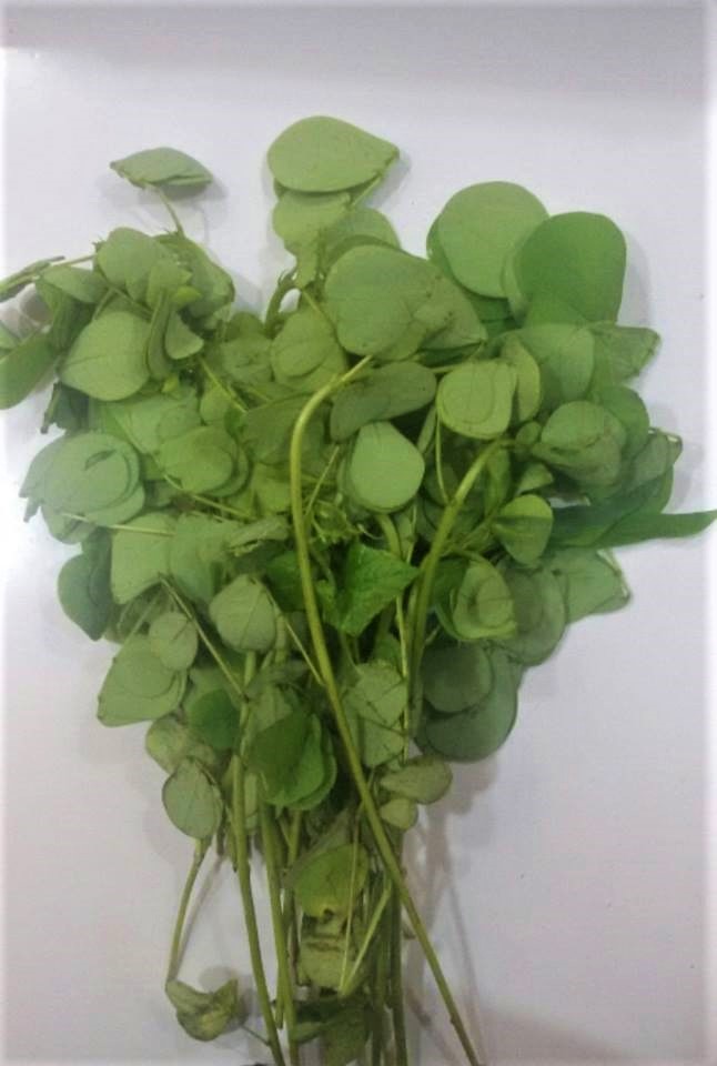 15 LittleKnown Leafy Vegetables of India You Need To Try!