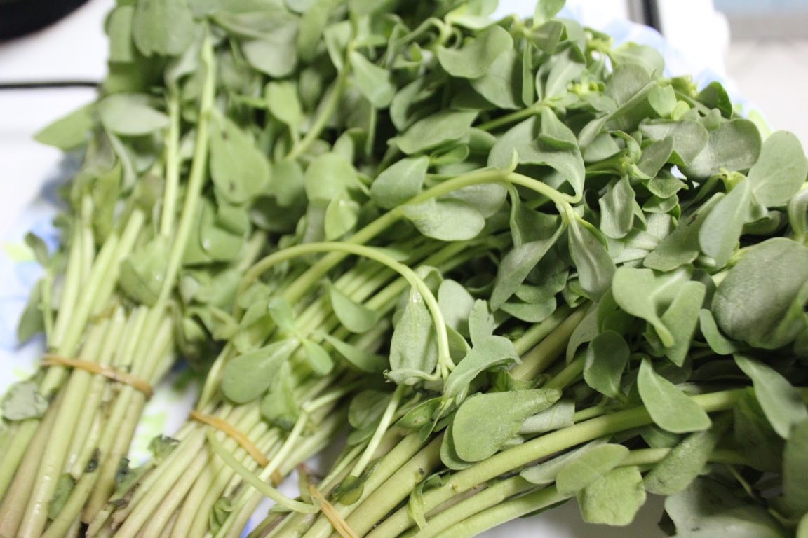 15 LittleKnown Leafy Vegetables of India You Need To Try!