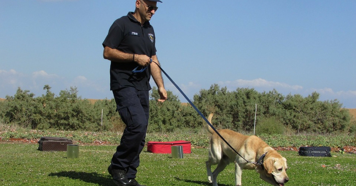 Police dogs are used extensively for solving criminal cases, worldwide.Representative image only. Image Courtesy:Pixabay.
