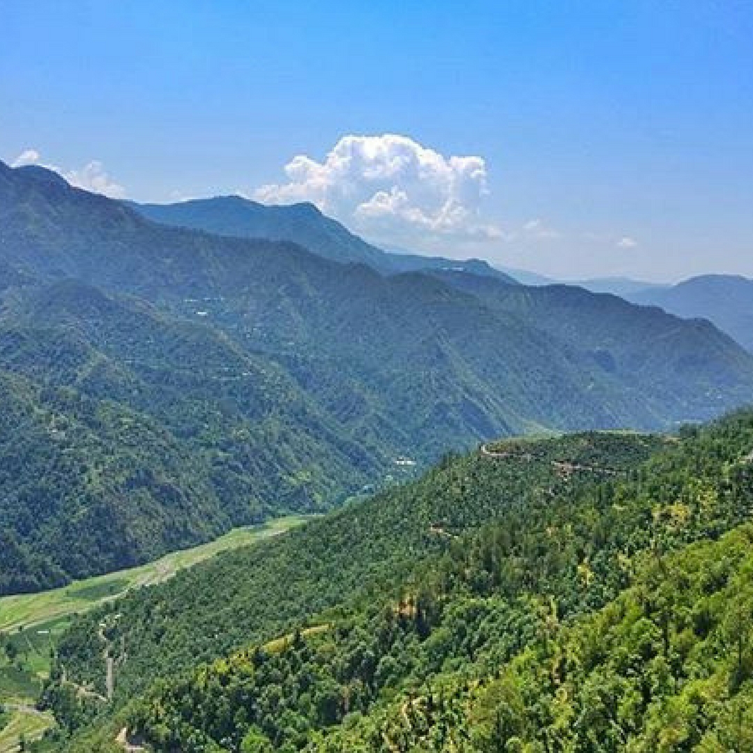 Shimla-a beautiful hamlet. Picture Courtesy: Instagram.