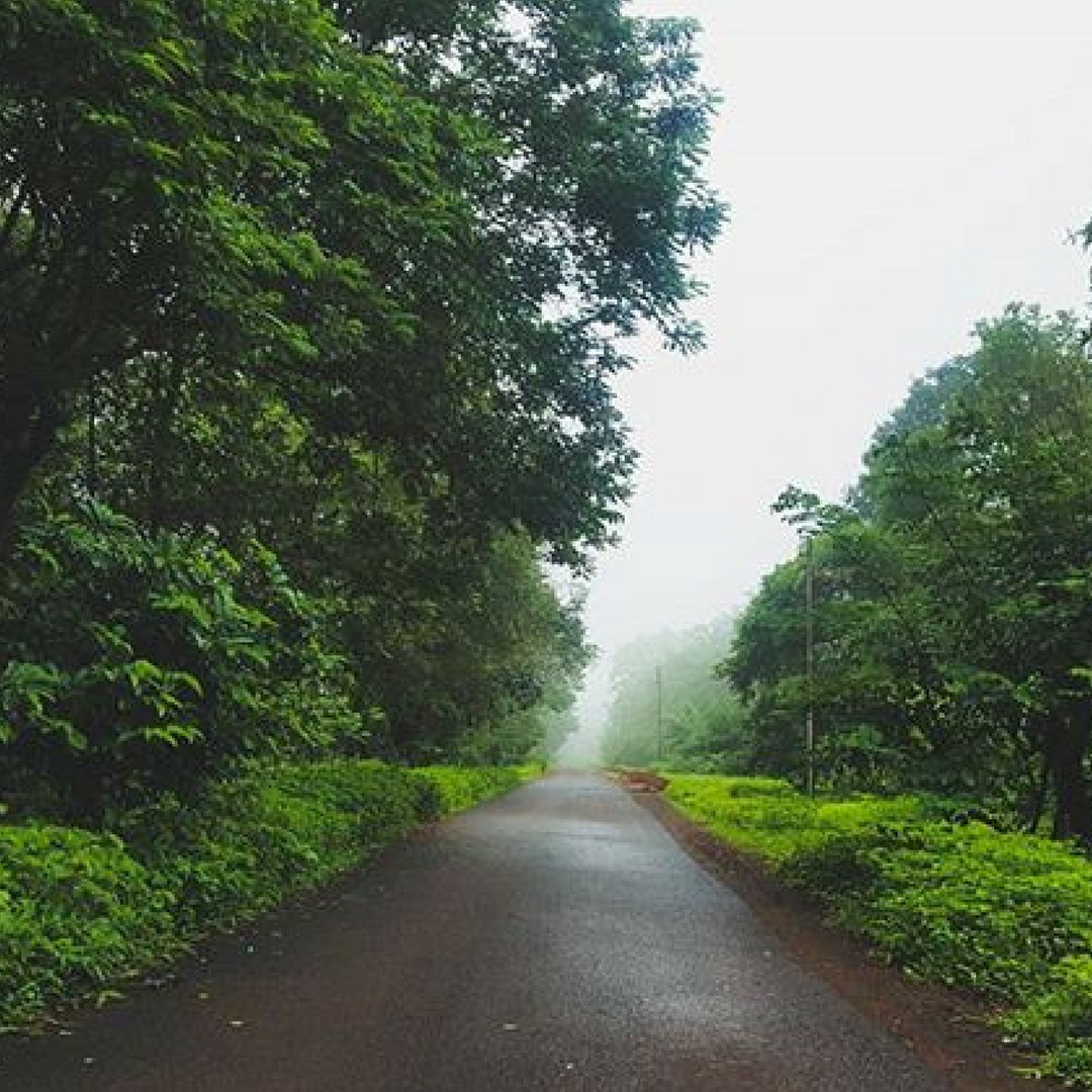 Sometimes, it makes sense to just follow the road, and see where it leads. India. Picture Courtesy: Instagram