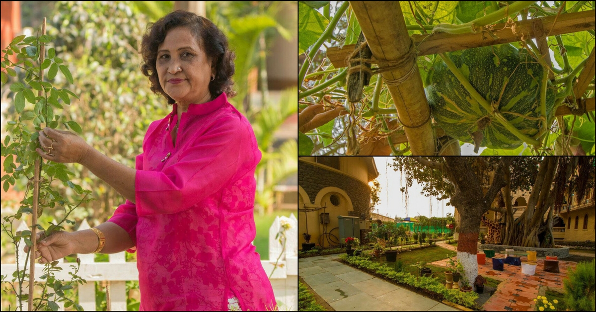 This Woman Didn’t Let Age Stop Her From Creating a Gorgeous Organic Garden
