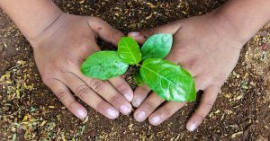 Kitchen Gardens All Set to Make Uttar Pradesh's Schools Green and Healthy