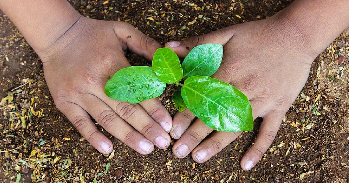 Kitchen Gardens All Set to Make Uttar Pradesh’s Schools Green and Healthy