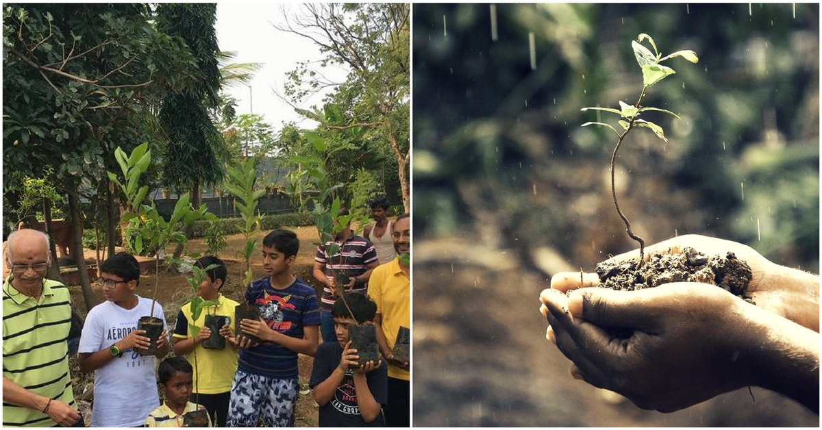 Mumbai Society Transforms Land Lost to Sewage channels Into a Lush 10000 sq ft Garden
