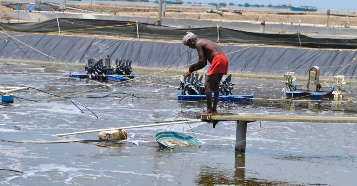 This IIT Alumnus Has Changed the Lives of More Than 600 ‘Aquafarmers’. Here’s How!