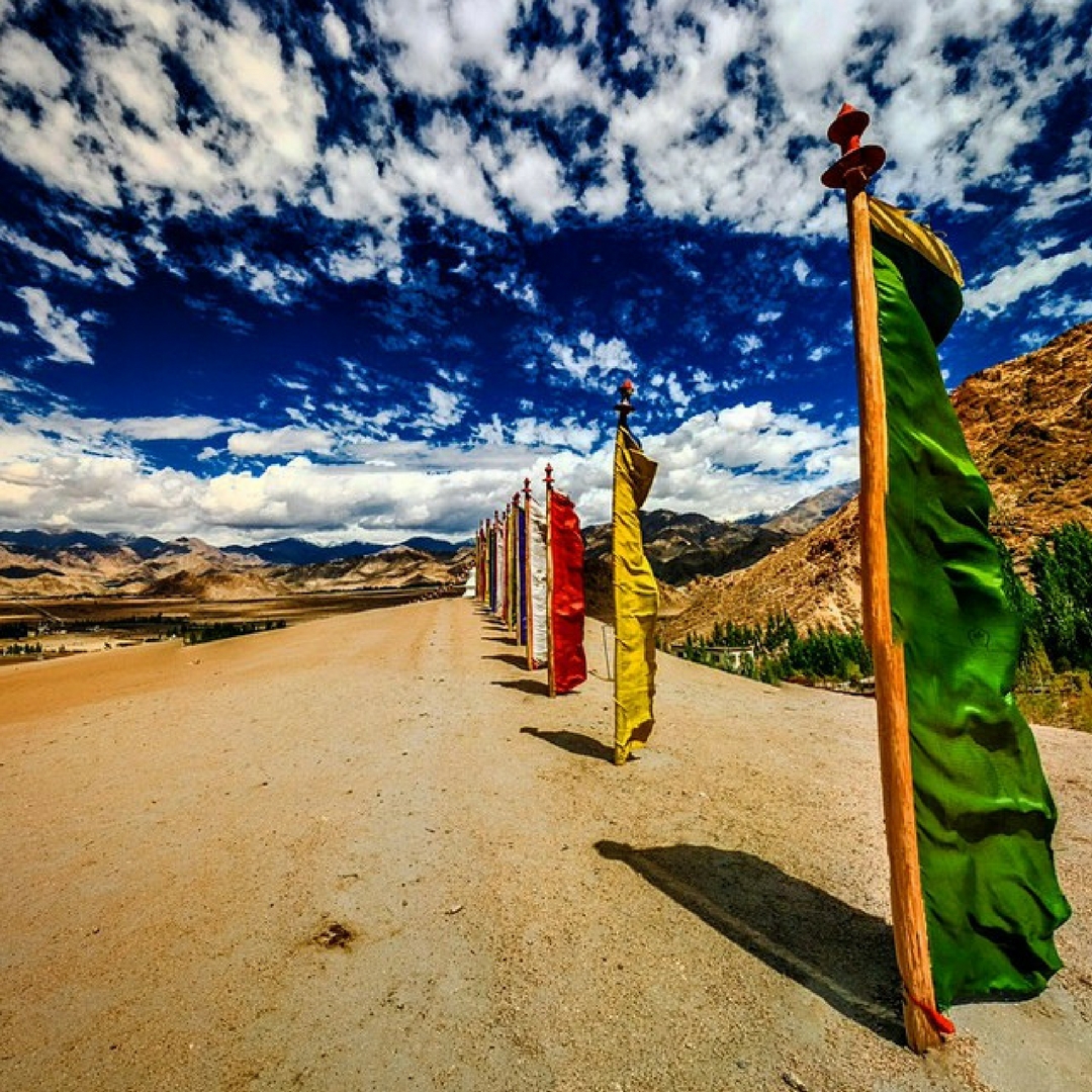 Vital life lessons, on the road less travelled.India. Image Courtesy: Instagram.