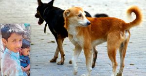 This 12-Year-Old Saved a Toddler From a Rabid Dog as Onlookers Did Nothing!