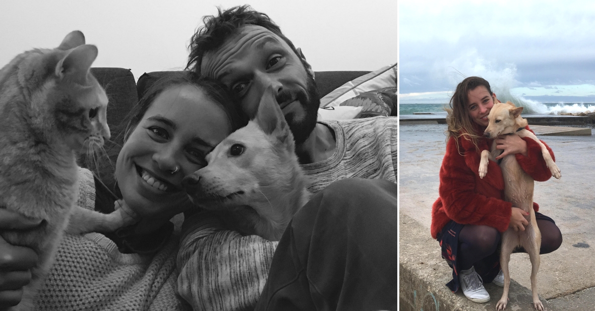 The Adventures of Rani, the Mumbai Stray Who Found a Loving Family in France