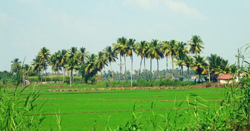 How Thuruthikkara Became Kerala's First Green Village in Just 3 Months