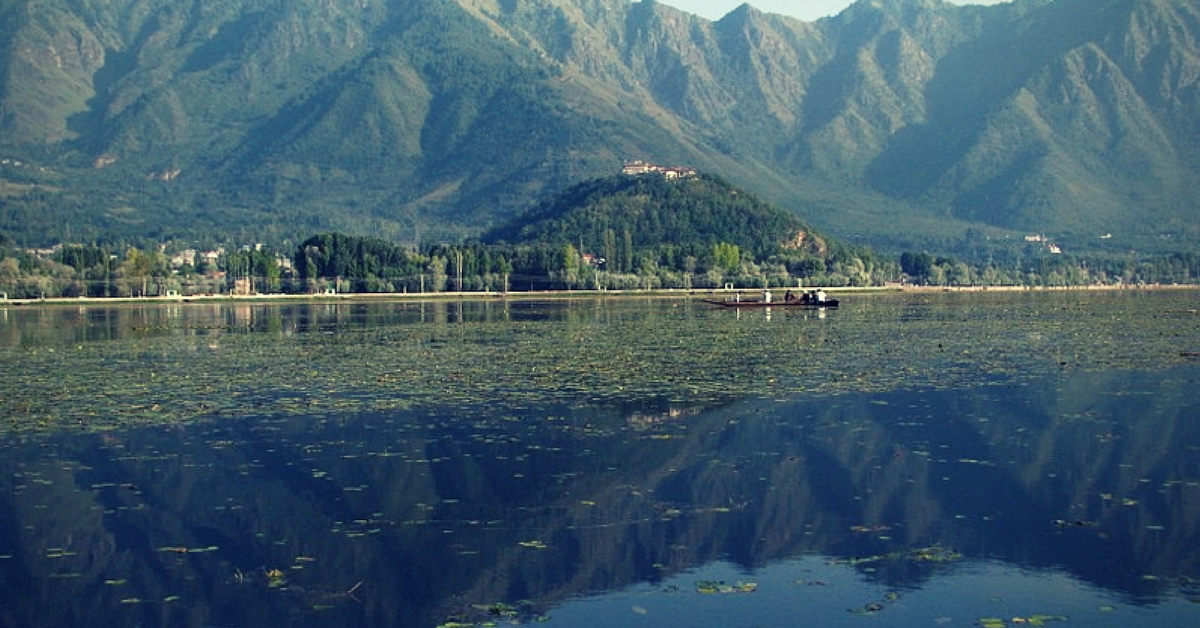 Citizens vowed to clean up the Dal lake, which was choking with weeds and garbage.Image Courtesy: Wikipedia.