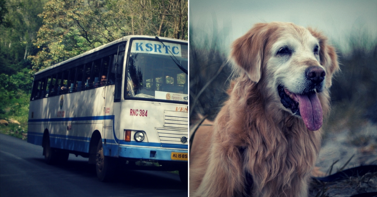 The Next Time You Want to Board a KSRTC State Bus, You Can Take Your Pet Along!