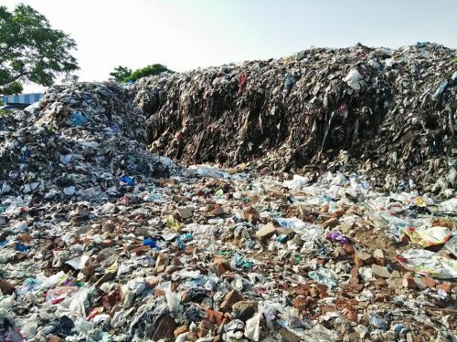 Chennai Citizens Unite, and Now a Trashed Lake Is Coming Back to Life!