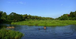 How a Village Library Group Revived the Birthplace of Malayalam