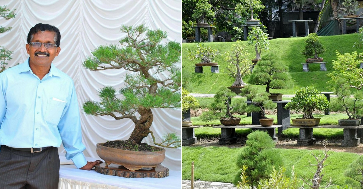 Kerala Man Left a Career in Law to Make South India’s Biggest Bonsai Garden