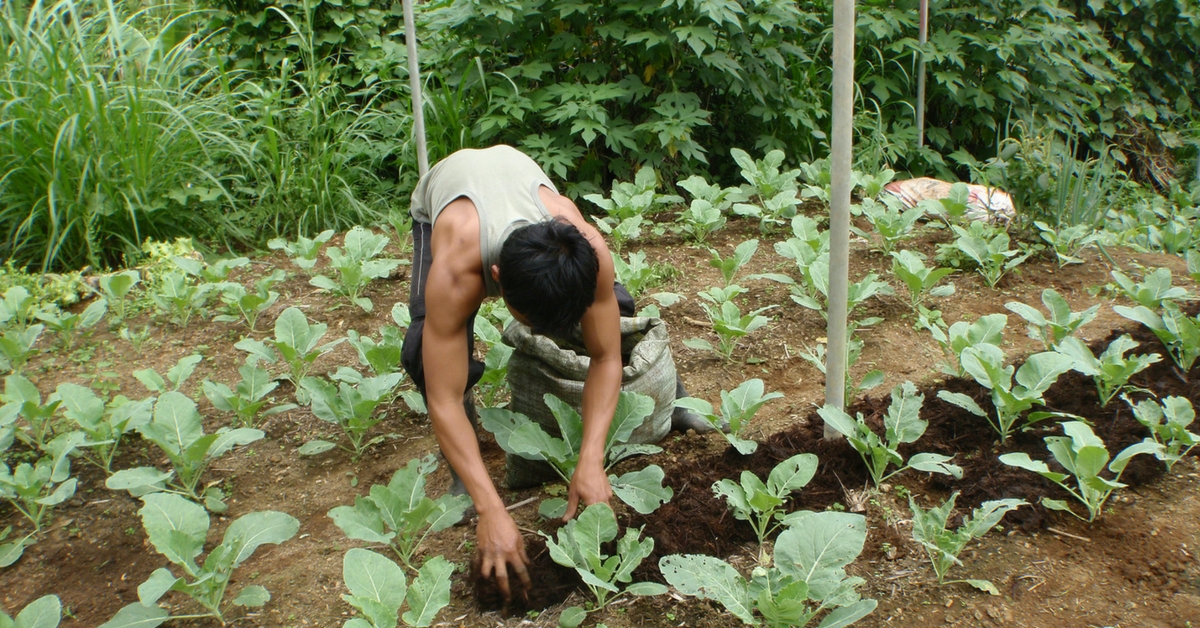 Uttarakhand is soon going to become a benchmark of organic farming.Representative image only. Image Courtesy: Flickr.