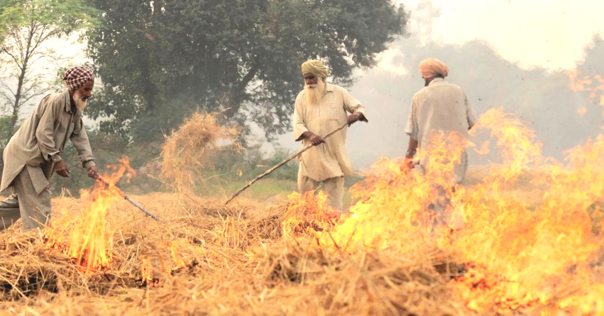 Solution to Air Pollution? Punjab Govt. Makes Straw Management Mandatory