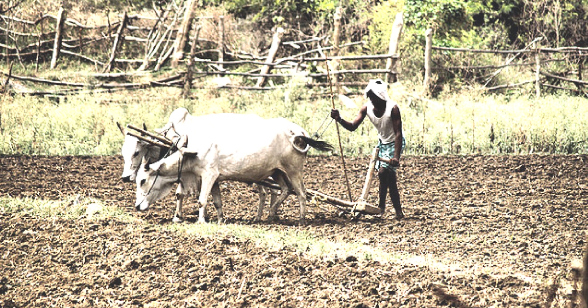 No Matter What They Grow, Telangana to Give Farmers Rs 8000 Per Acre