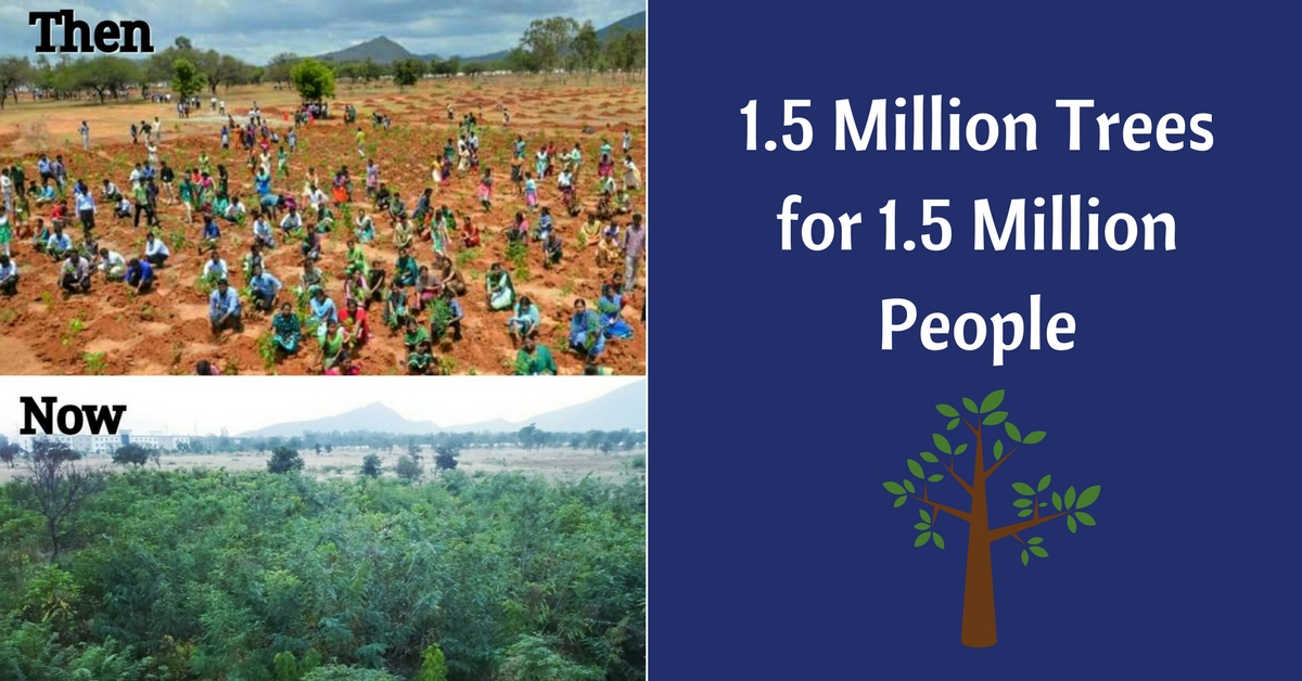 1.5 Million Trees for 1.5 Million People: How One Org Is Creating Urban Forests!