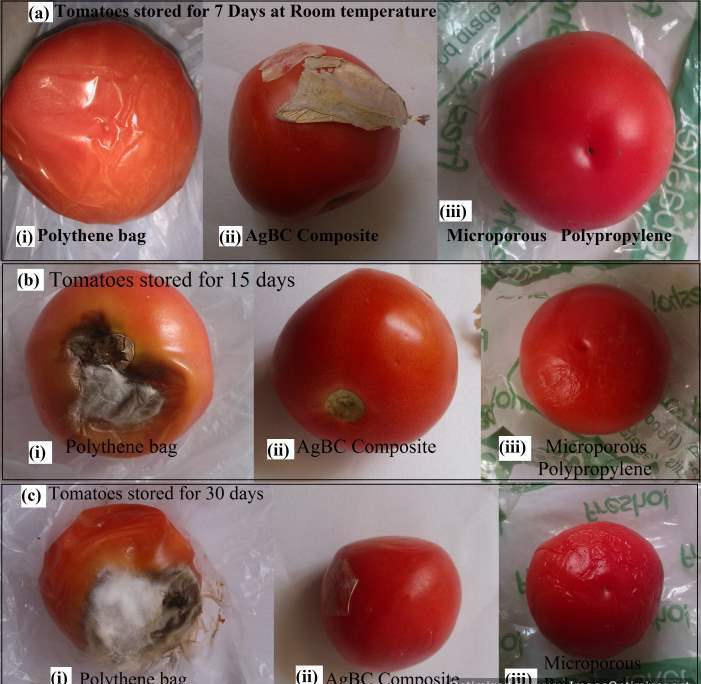 Veggies will be kept fresh tanks to these Indian Scientists innovation. The Image above shows the deterioration of tomatoes wrapped in different materials.