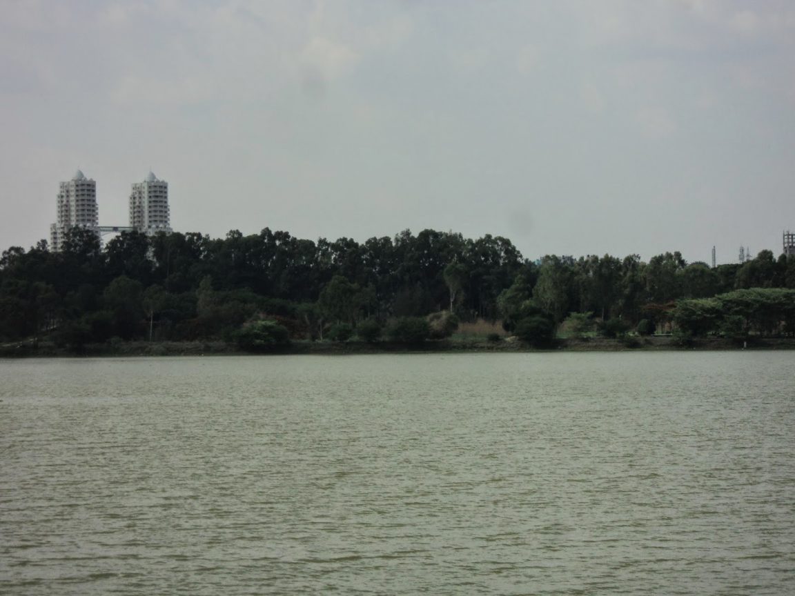 How I Helped Save Bengaluru's Hebbal Lake from Being Sewage-Choked