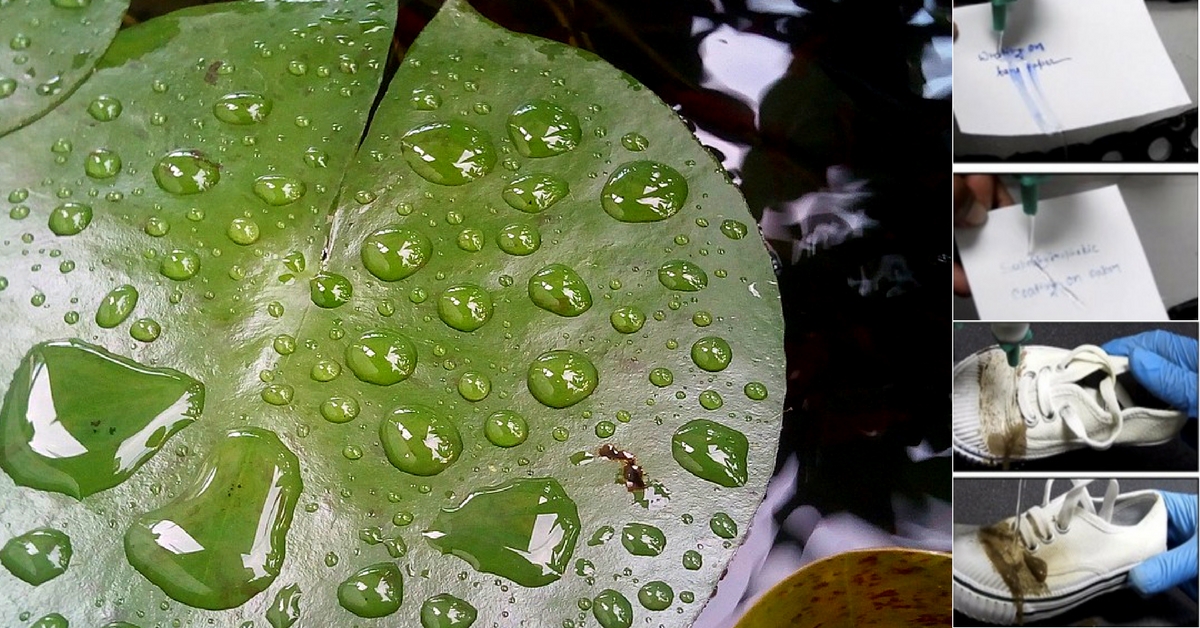 IIT Guwahati Folks Create Superhydrophobic Coating That Mimics Lotus Leaves!