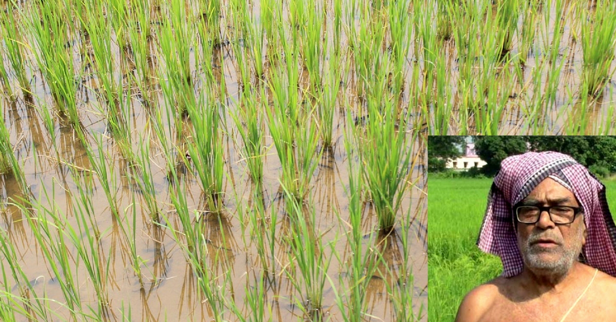 Mr Natabar Sarangi, the icon of organic farming to millions. Representative image only. Image Courtesy: Wikimedia Commons