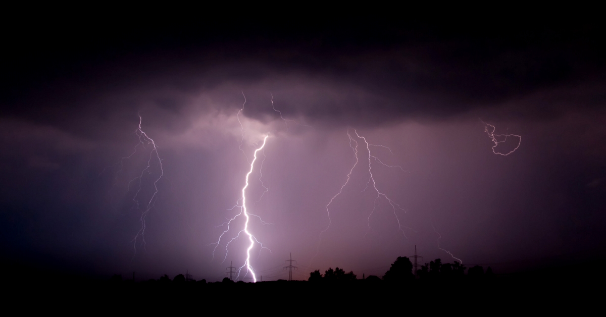 Odisha District’s Unique Idea: Grow Palm Trees To Curb Lightning-Related Deaths!