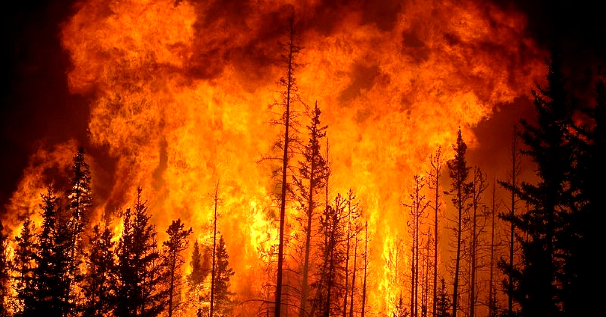 To aid rescue operations during the Tamil Nadu forest fire, the Madras Institute of Technology deployed drones. Representative image only. Image Courtesy: Wikimedia Commons.