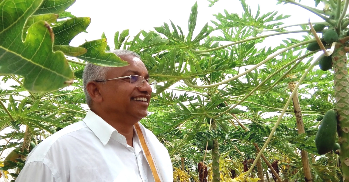 This Plant Breeder’s Low-Cost Solution Can Save India Rs 100 Crore Every Year!