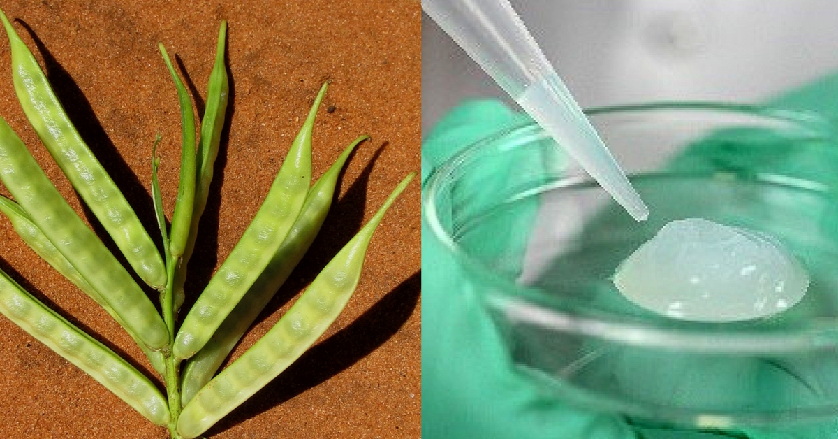 This New Guar Gum Based Hydrogel May Help Save Drought-Hit Crops