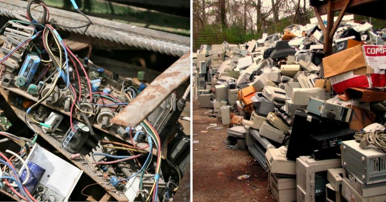 Indian Scientists Use Leaves To Extract Gold From E-Waste!