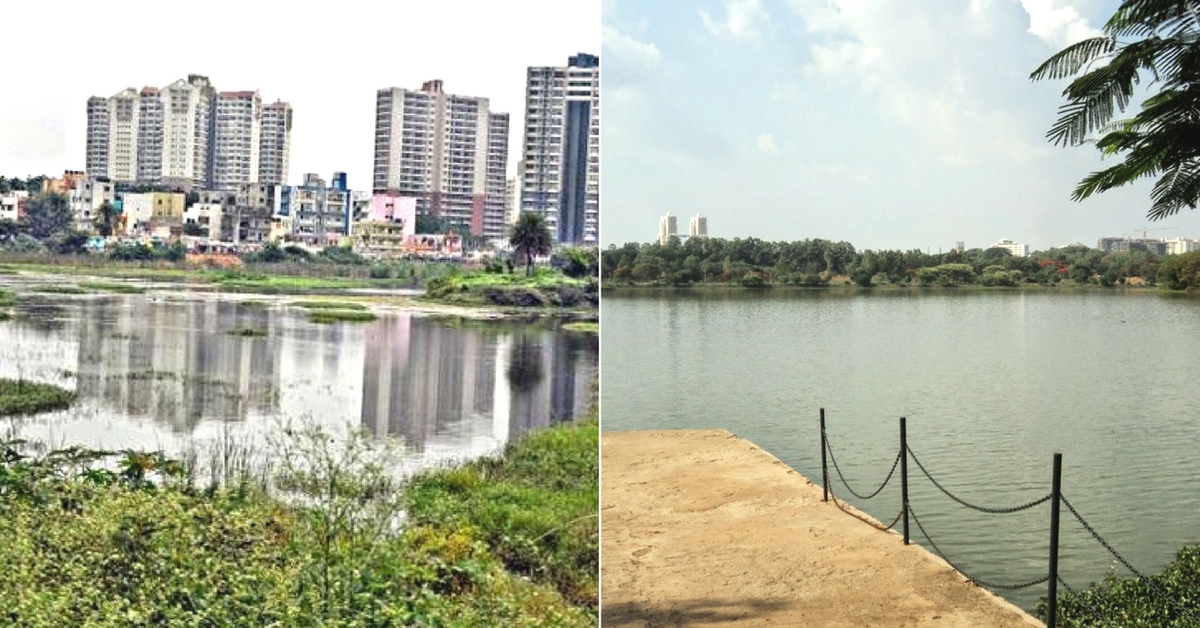 Sewage-Choked Hell to Natural Wonder: How I Helped Save a Bengaluru Lake